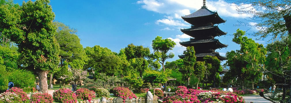 Japón